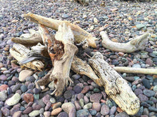 Load image into Gallery viewer, Driftwood | Compare to Gold Canyon Driftwood