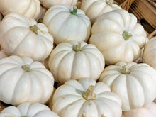 Load image into Gallery viewer, Whipped Pumpkin | Compare to Gold Canyon White Pumpkin