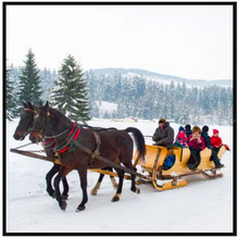 Load image into Gallery viewer, Snowy Sleigh Ride | Compare to Gold Canyon Sleigh Ride