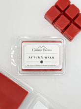 Load image into Gallery viewer, Scent Cubes | Wax Melts
