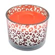 Load image into Gallery viewer, Sex on the Beach | Sunset Scents Original Fragrance
