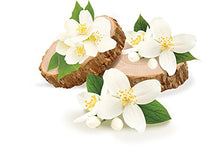 Load image into Gallery viewer, Sandalwood Jasmine |  Compare to Gold Canyon Sandalwood Jasmine
