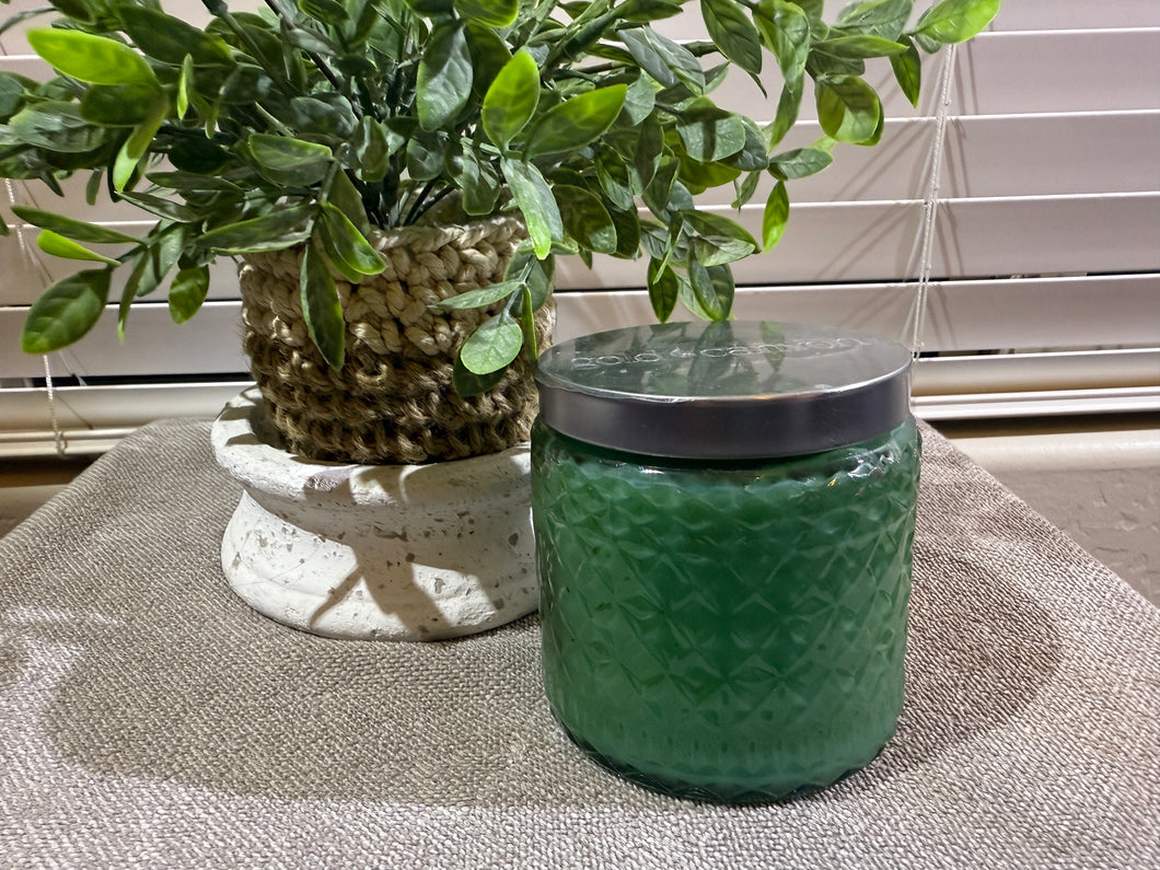 Sea Shell   | Medium 16oz | Gold Canyon Product