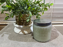 Load image into Gallery viewer, Icy Evergreen | Medium 16oz | Gold Canyon Product
