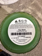 Load image into Gallery viewer, Sea Shell | Mini 5oz | Gold Canyon Product
