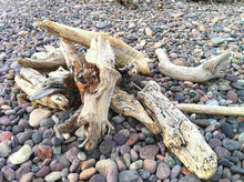 Load image into Gallery viewer, Driftwood | Compare to Gold Canyon Driftwood
