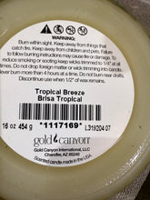 Load image into Gallery viewer, Tropical Breeze | Medium 16oz | Gold Canyon Product
