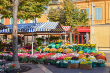 Load image into Gallery viewer, French Market | Sunset Scents Cause Candle *NEW*
