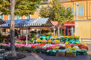 French Market | Sunset Scents Cause Candle *NEW*