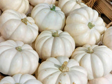 Load image into Gallery viewer, Whipped Pumpkin | Compare to Gold Canyon White Pumpkin
