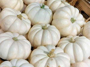 Whipped Pumpkin | Compare to Gold Canyon White Pumpkin