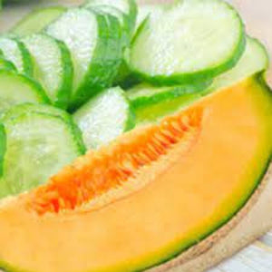 Cucumber Melon | Compare to Gold Canyon Cucumber Melon