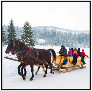 Snowy Sleigh Ride | Compare to Gold Canyon Sleigh Ride