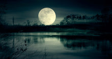 Load image into Gallery viewer, Dark Night | Compare to Gold Canyon Black Rain
