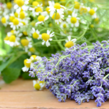 Load image into Gallery viewer, Lavender Chamomile | Compare to Gold Canyon Lavender Chamomile
