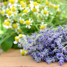 Lavender Chamomile | Compare to Gold Canyon Lavender Chamomile