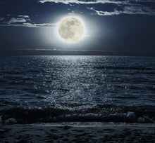 Load image into Gallery viewer, Moonlit Patchouli | Sunset Scents Original Fragrance
