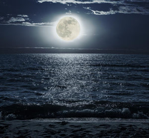 Moonlit Patchouli | Sunset Scents Original Fragrance